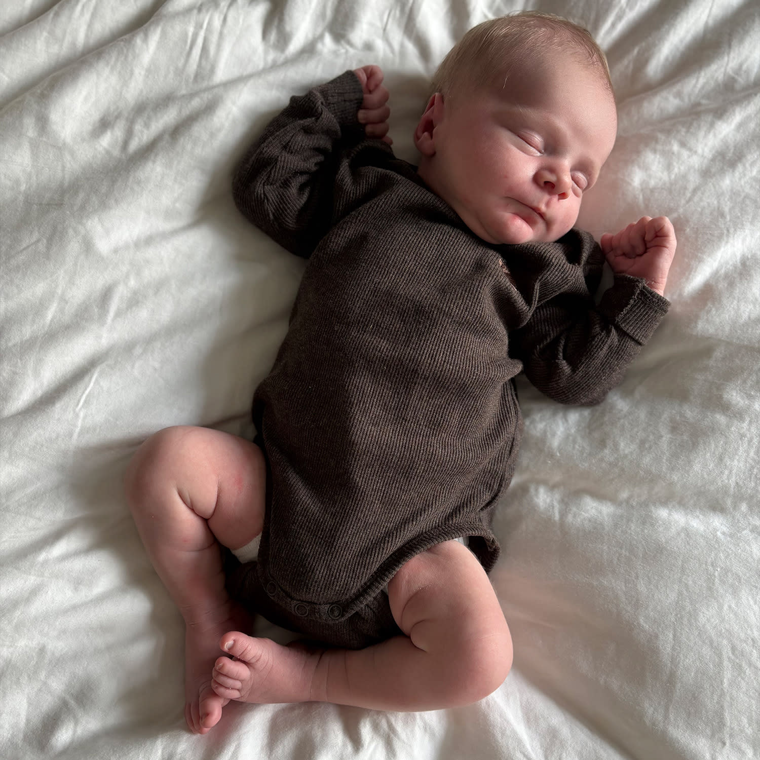 - Dark brown melange