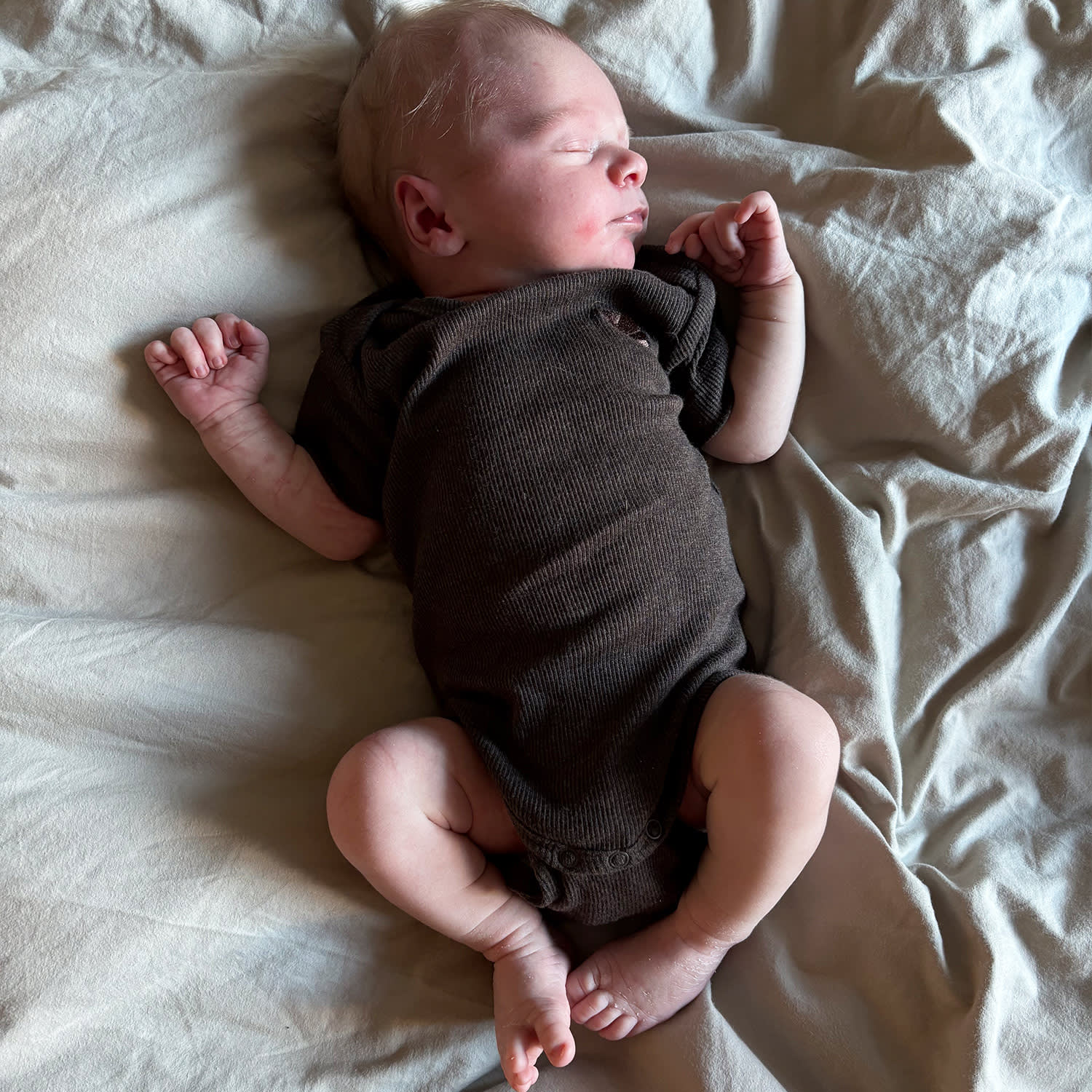 - Dark brown melange