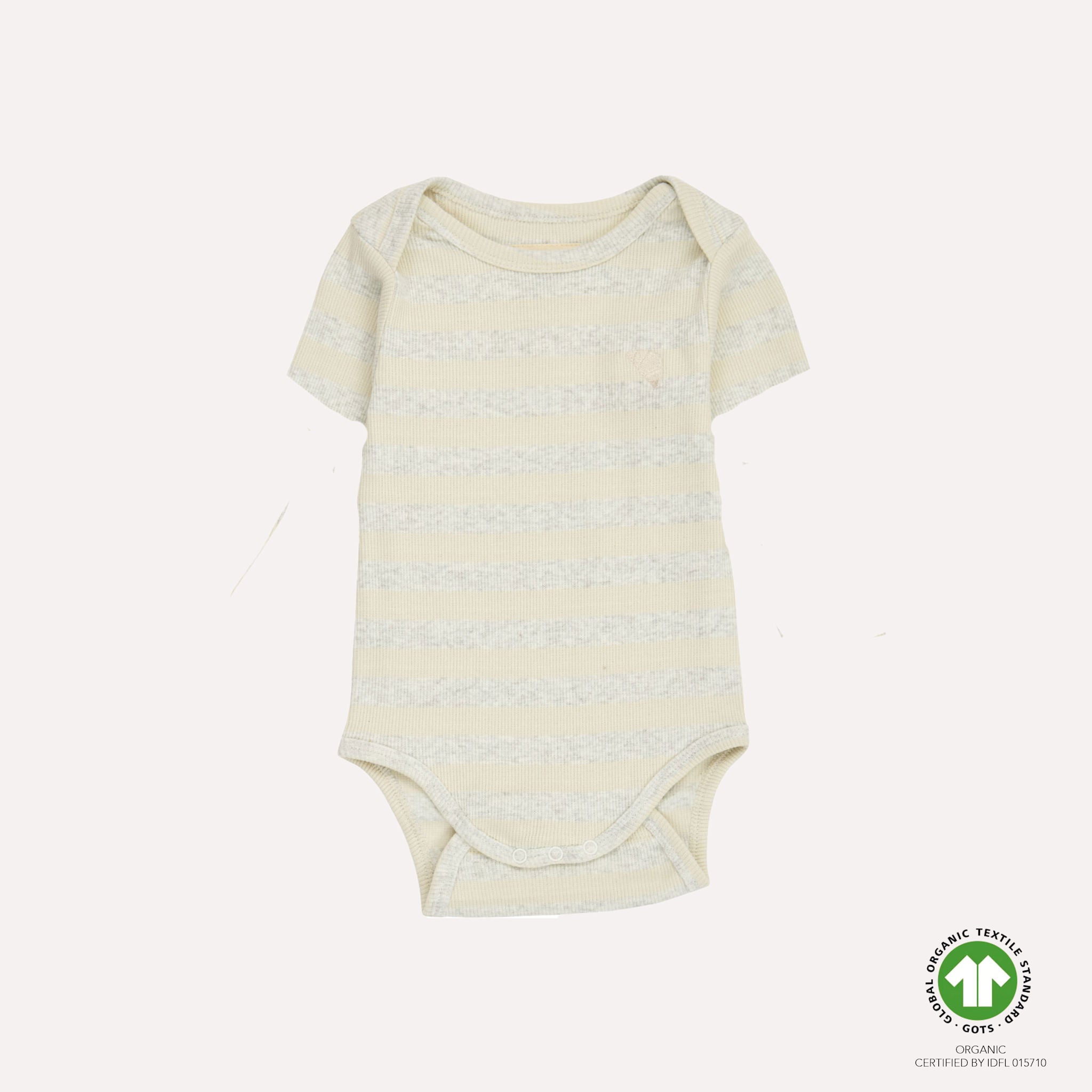 CARLET bodystocking SS - Servelle Stripes